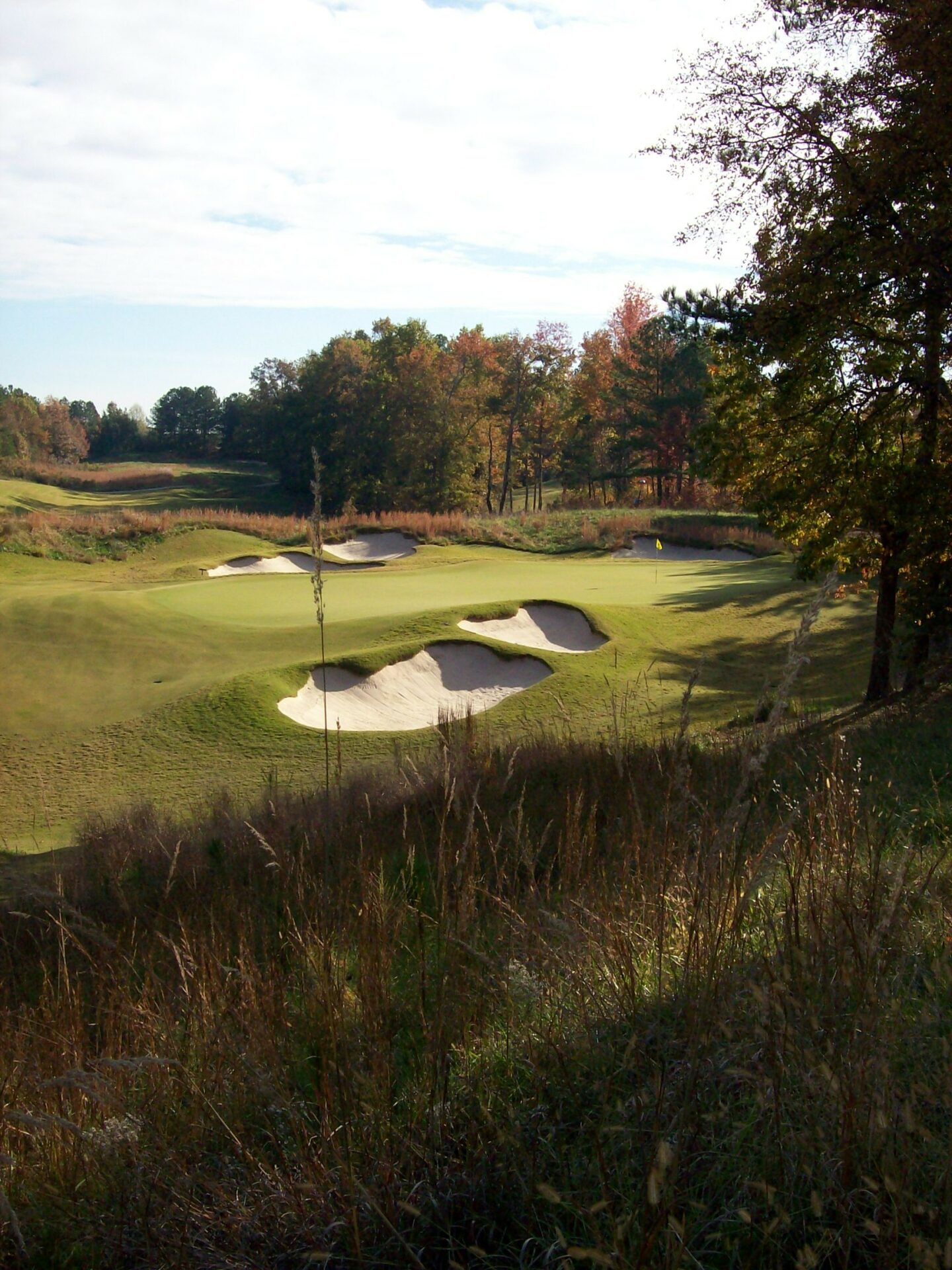 Standard Club #8